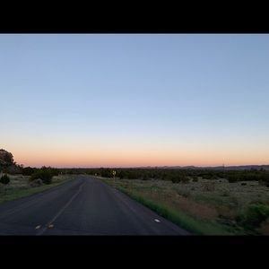 Meet your Posher, Rose